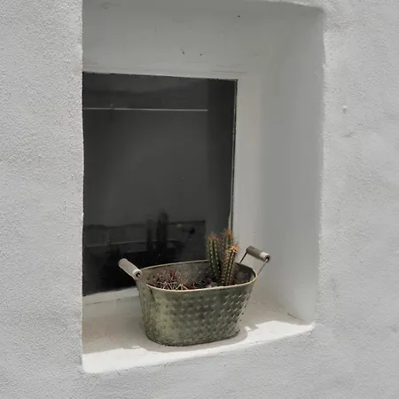 Max House Tatil Evi *