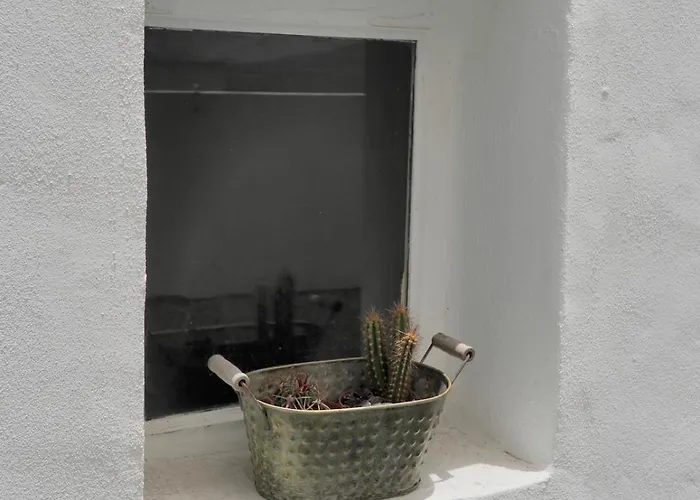 Max House Tatil Evi *